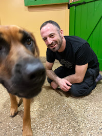 PJH Dog Training