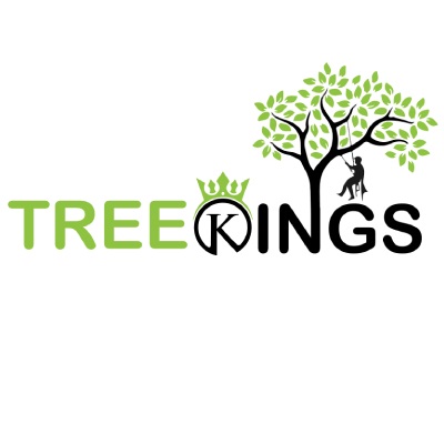 TREE KINGS