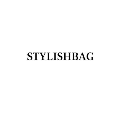 stylish bag